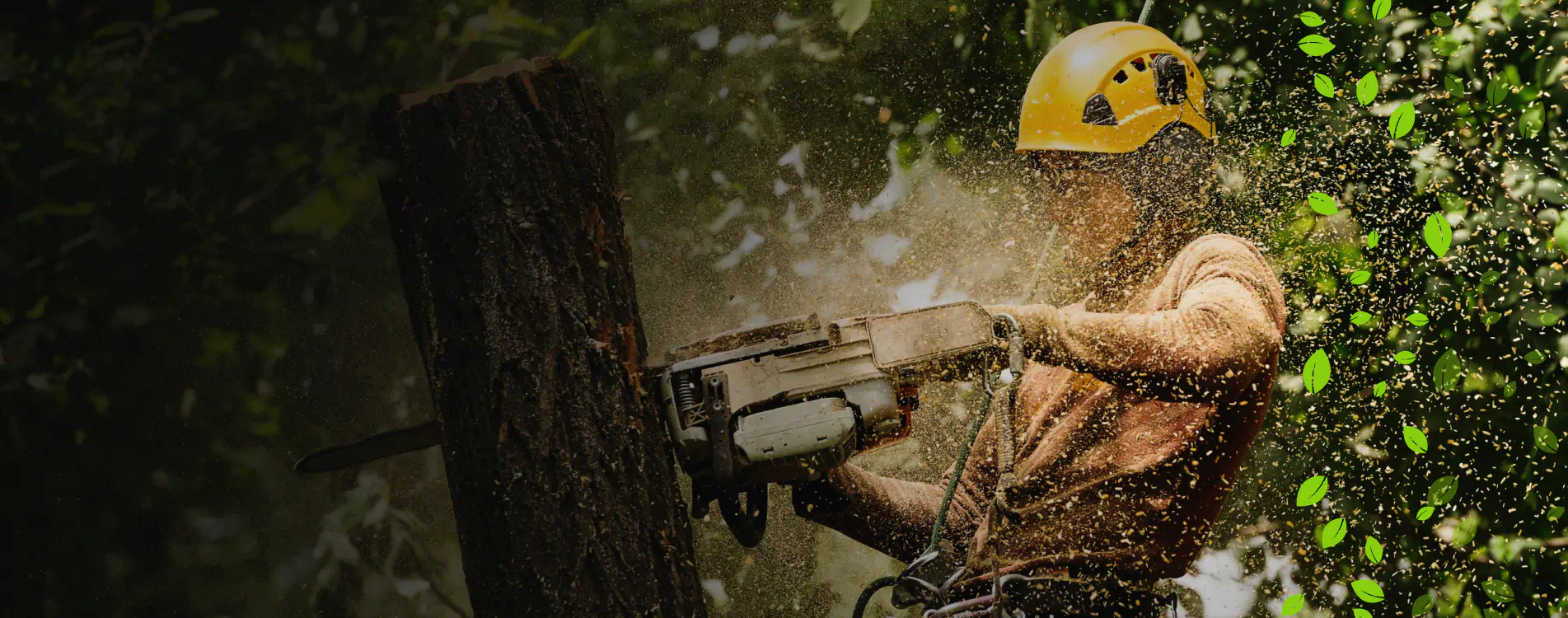 close up shot worker doing tree removal