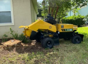 treecon stump grinding service